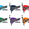 Varsity Flag Color Personalization Options