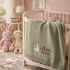 Mung Bean Embroidered Blanket Decorating A Pink Nursery Crib