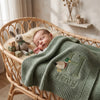 Sleeping Baby Covered With Mung Bean Embroidered Blanket